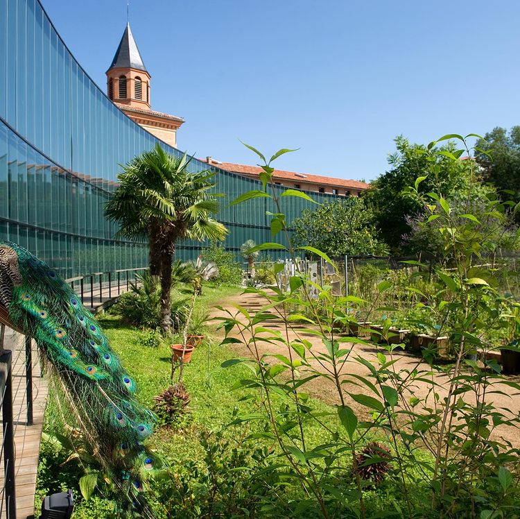 Le Top Des Lieux Ou Boire Un Verre Et Grignoter Avec Les Enfants A Toulouse Le Blog De Ludilabel